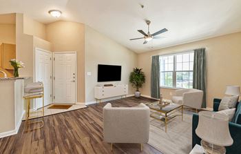 Modern living area